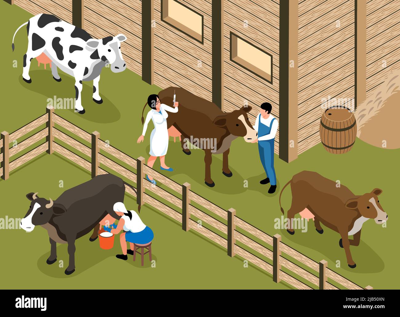 Livestock veterinarian visits family dairy farm isometric composition