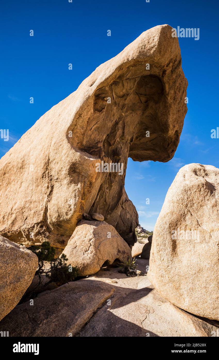 Rock formations in the Wonderland of Rocks, Joshua Tree National Park