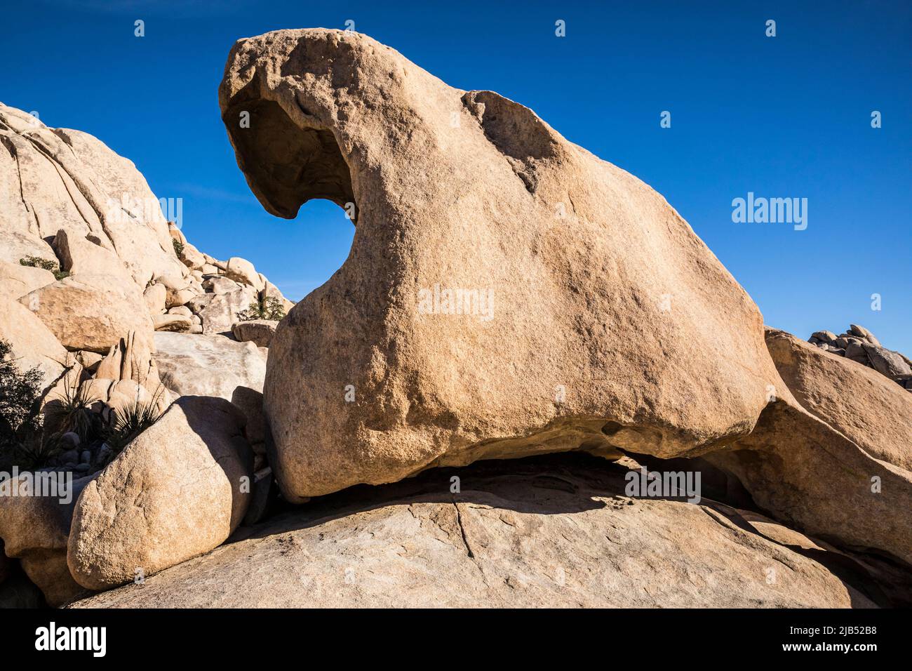 Rock formations in the Wonderland of Rocks, Joshua Tree National Park