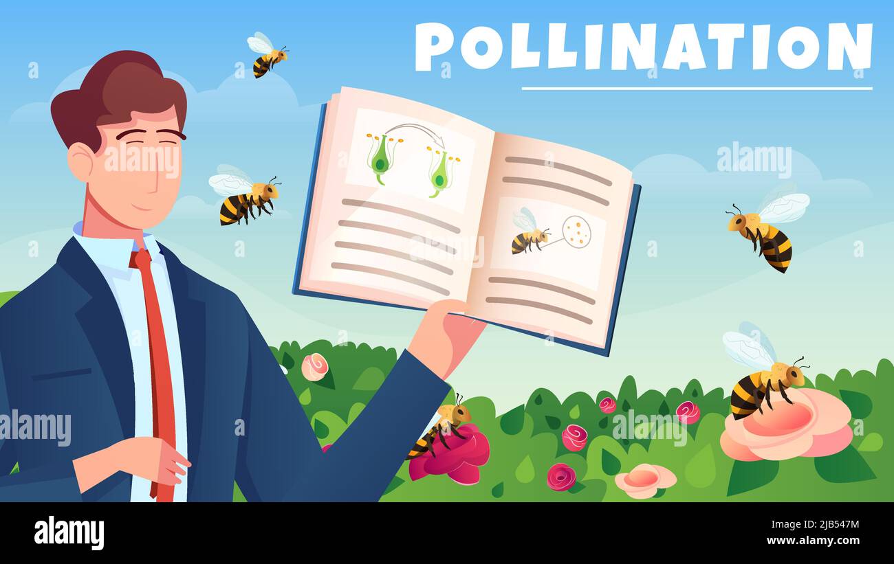 Pollinator Cartoon Botanical flat horizontal composition with male character demonstrated ...