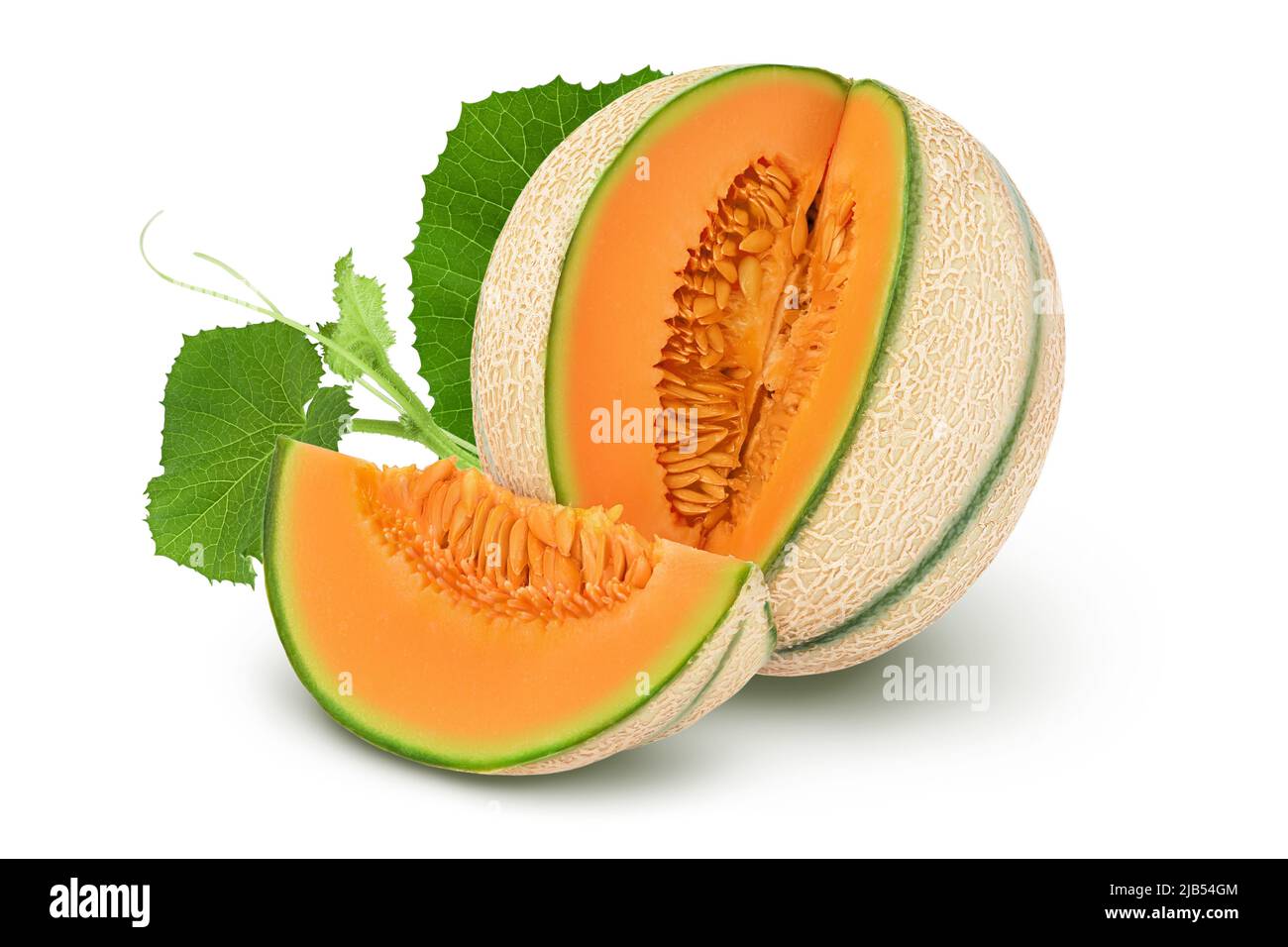 Cantaloupe melon isolated on white background with full depth of field, Stock Photo