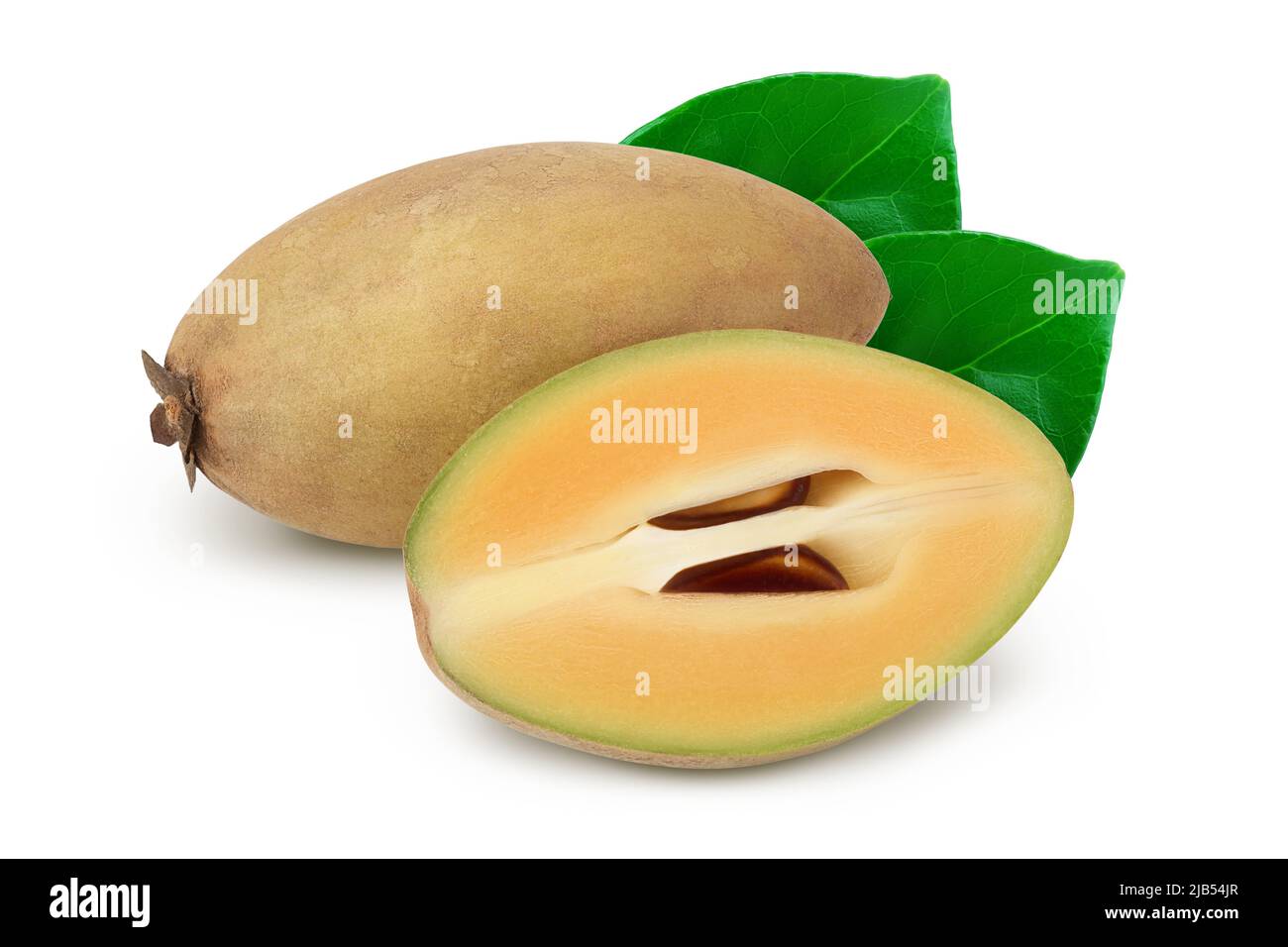 Sapodilla isolated on white background with full depth of field Stock Photo