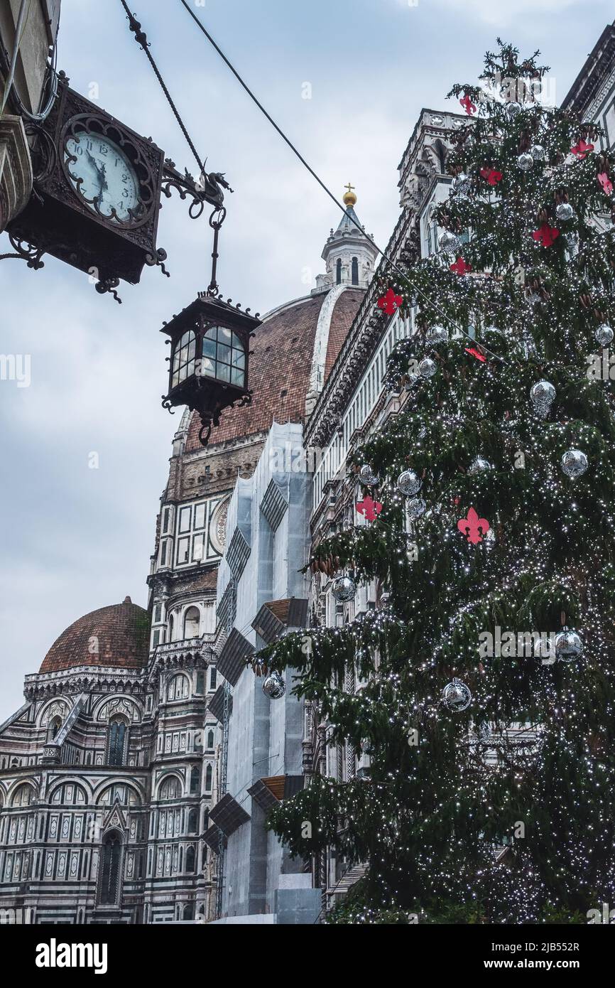 Christmas tree in Florence, Christmas in Florence, Christmas tree