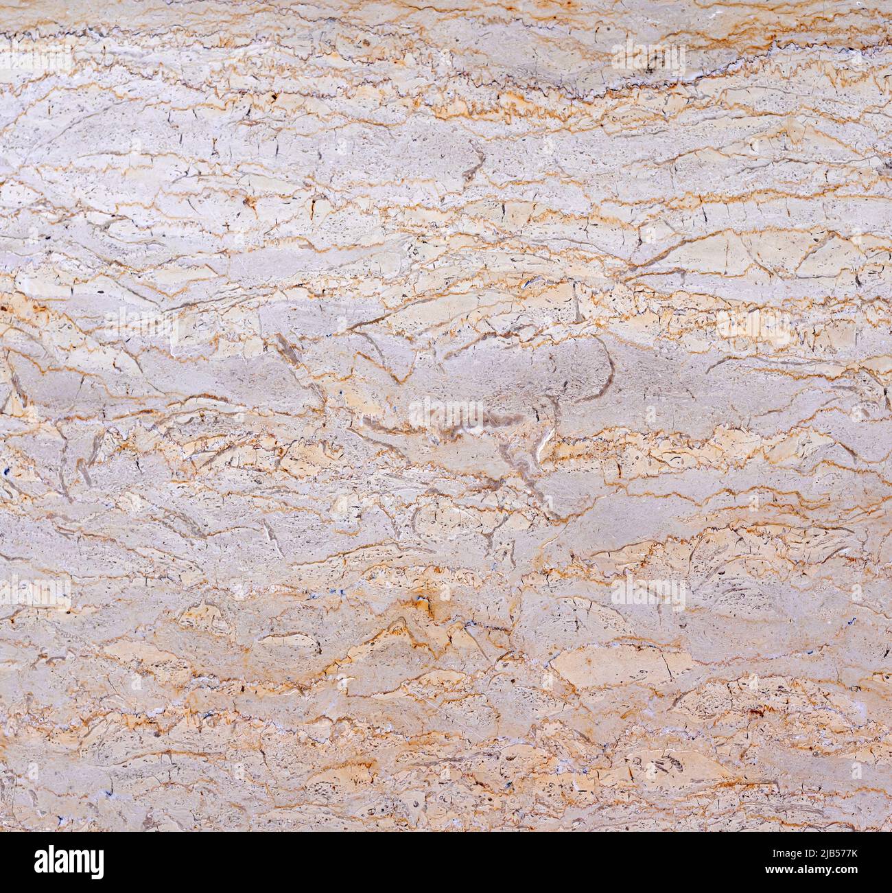 Textured wall lined with shell rock tiles. Stock Photo