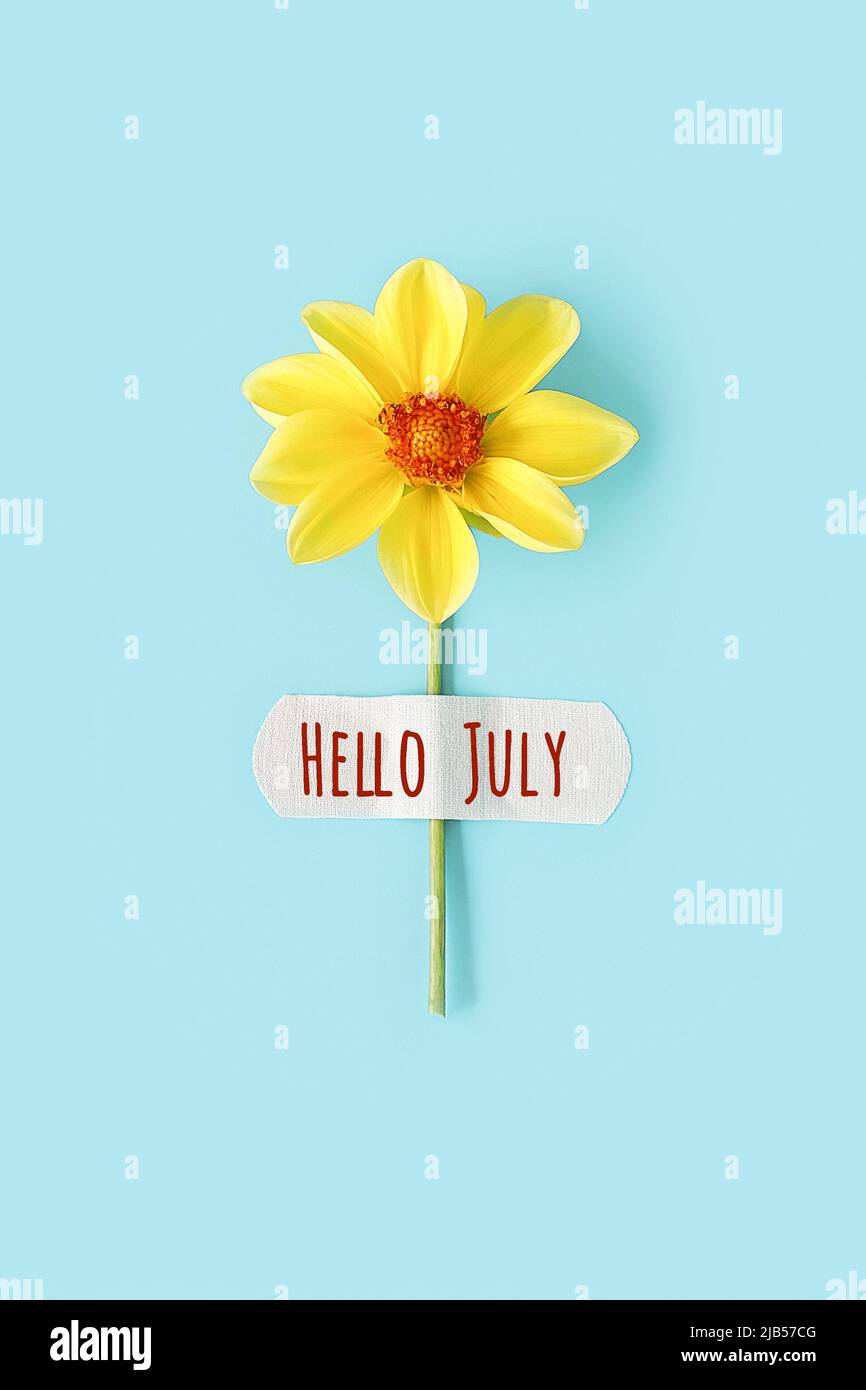 Hello July text on white band-aid and one yellow delicate flower on