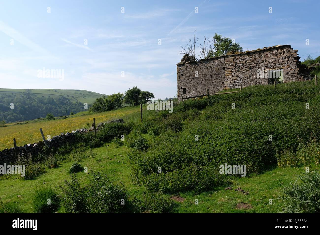 Weag's Barn Stock Photo