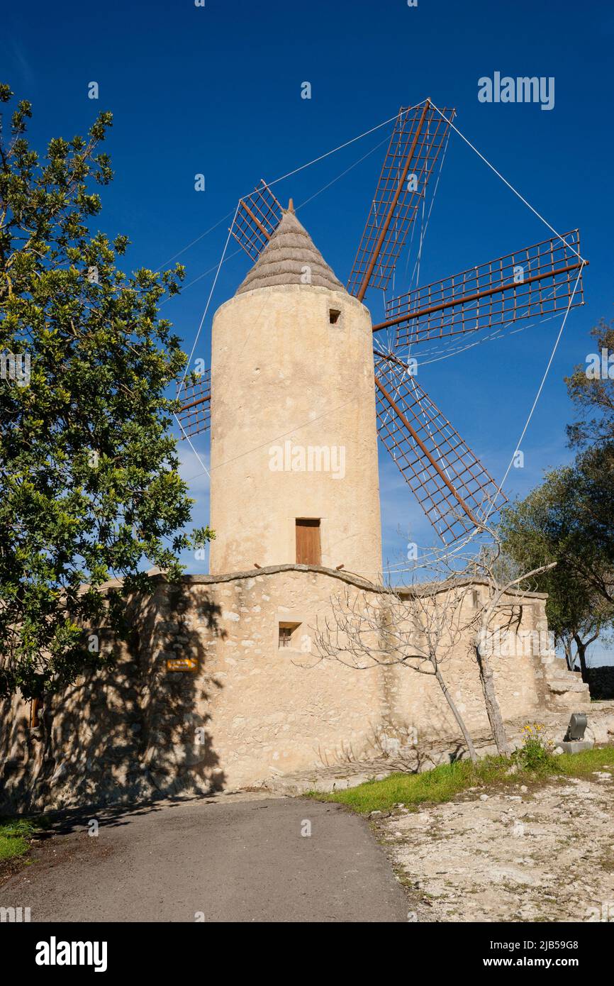 Molíno d'en Fraret , Montuïri, un molino harinero del siglo XVIII, sede del museo arqueologico Son Fornes , mallorca, islas baleares, españa, europa. Stock Photo