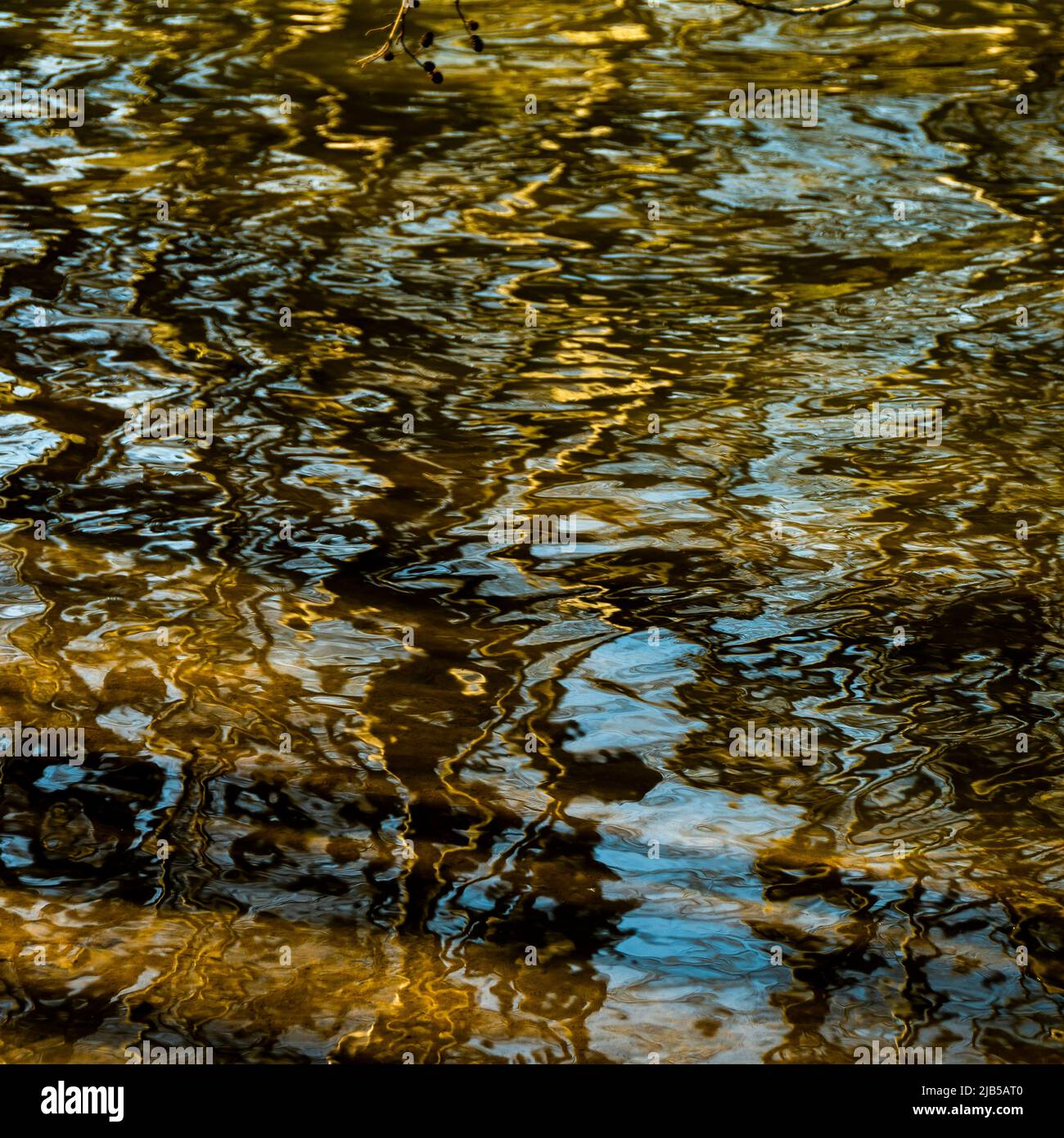 Reflection of trees and sky on calm water during daylight Stock Photo ...