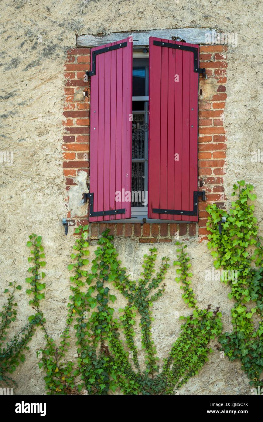 Quaint Window Rustic window with maroon shutters and climbing vines on a textured ...