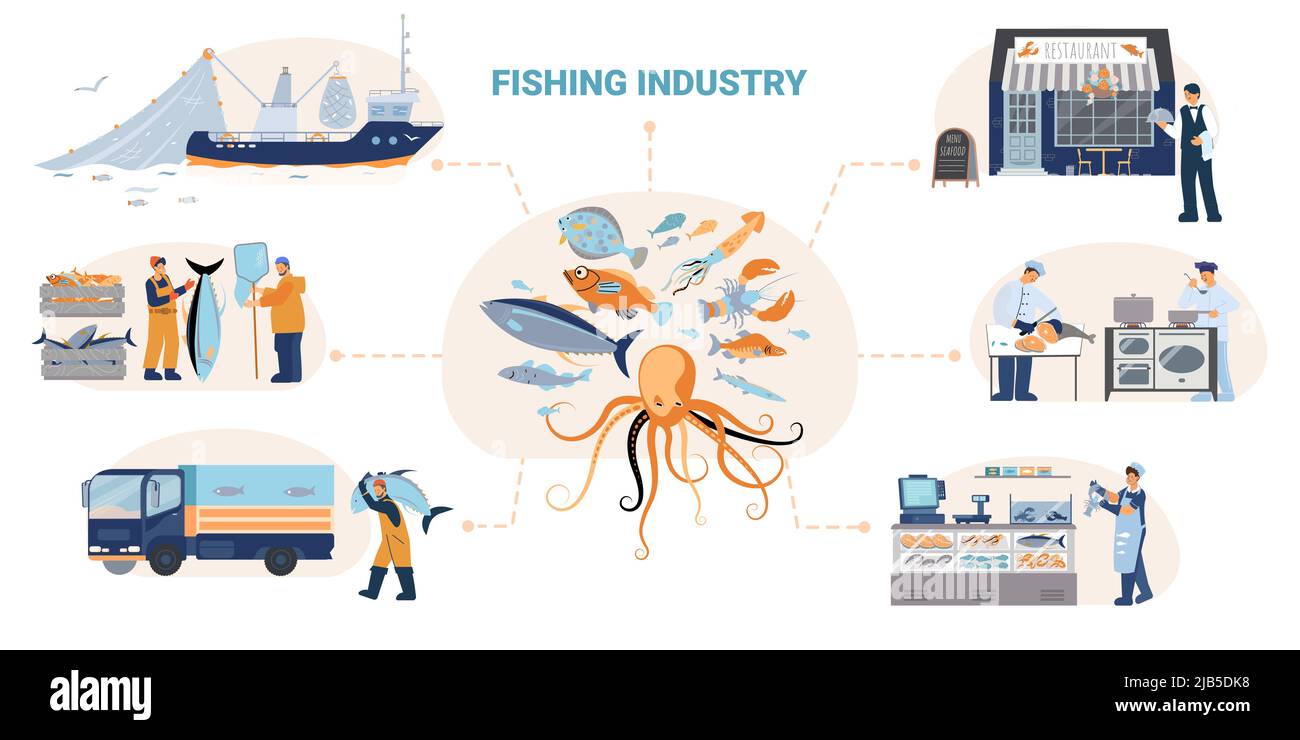 Fish seafood flowchart of flat compositions representing work of