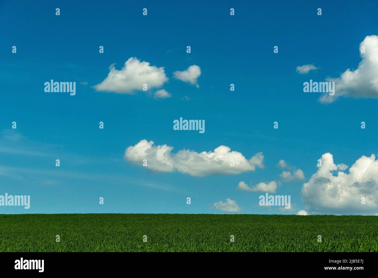 Clear blue sky with scattered clouds above a green meadow during a ...