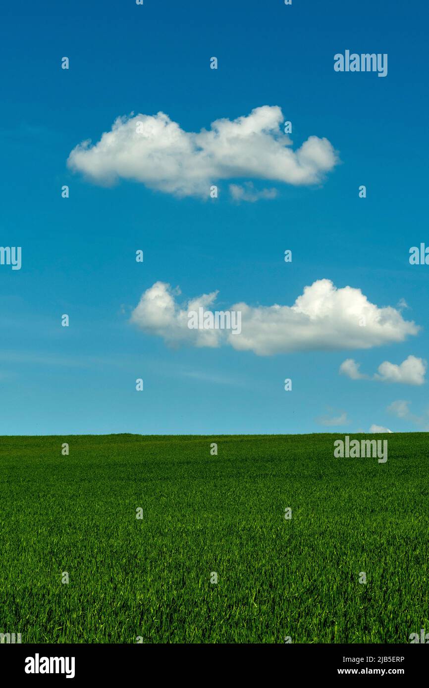 Clear blue sky with scattered clouds above a green meadow during a ...
