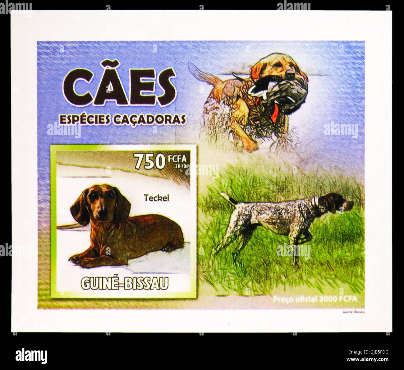 MOSCOW, RUSSIA - MAY 20, 2022: Postage stamp printed in Guinea-Bissau shows Block: German Shorthaired Pointer and Dachshund, Dogs serie, circa 2010 Stock Photo
