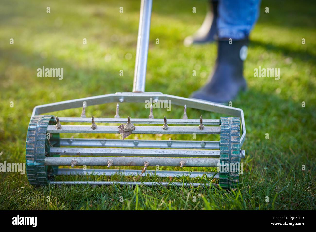 Picture of grass aerator on the green lawn Stock Photo