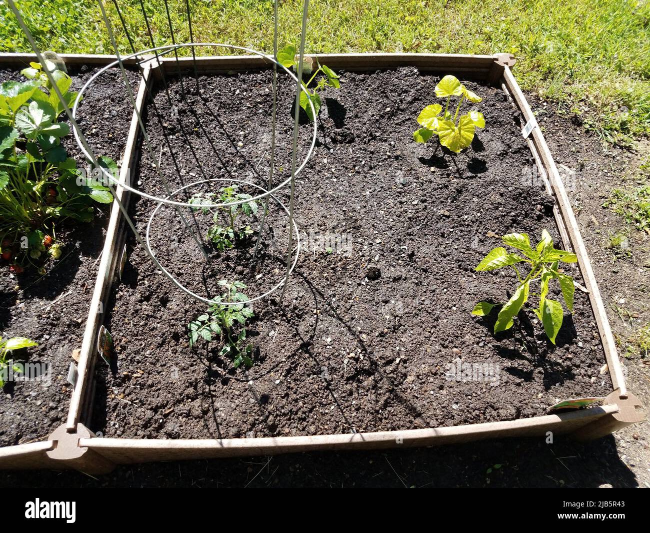 Raised bed plant hi-res stock photography and images - Alamy