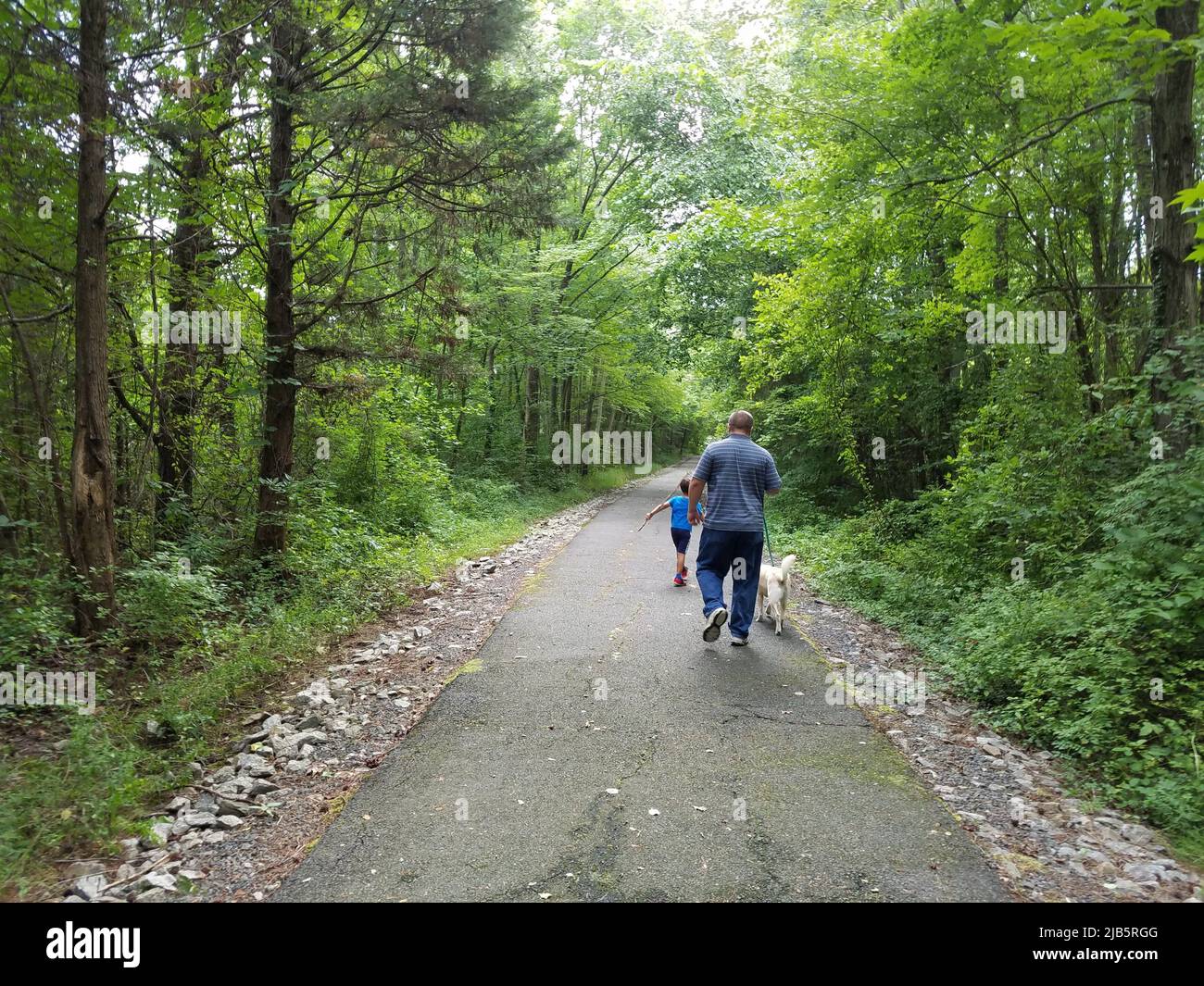 father and son walking white fur dog on asphalt trail in the woods or