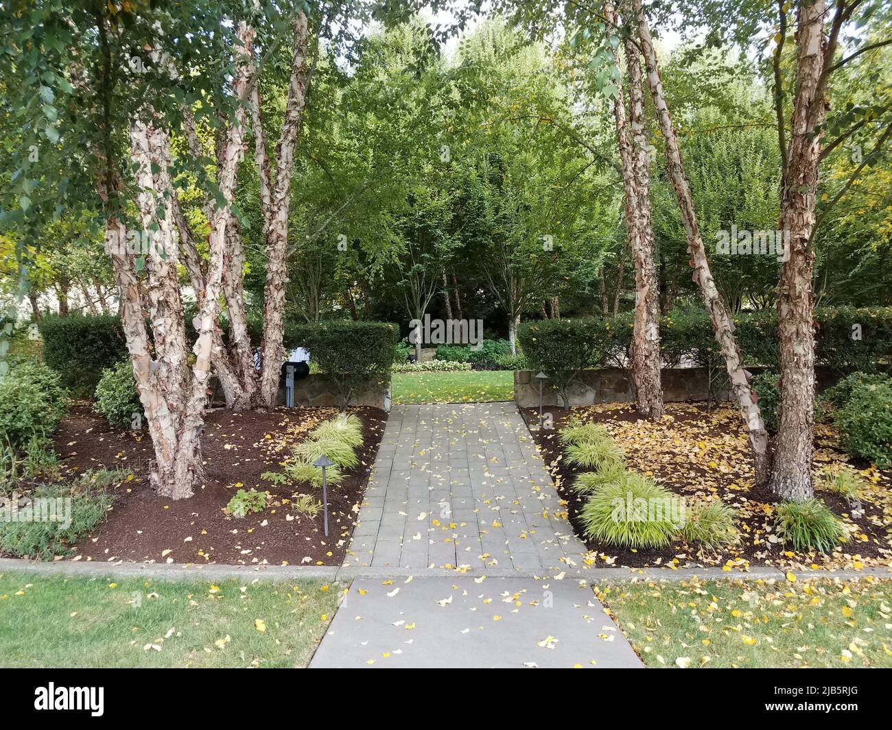 Path lights hi-res stock photography and images - Alamy