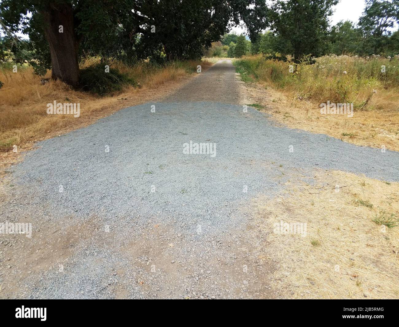 Gravel path and grass hi-res stock photography and images - Alamy