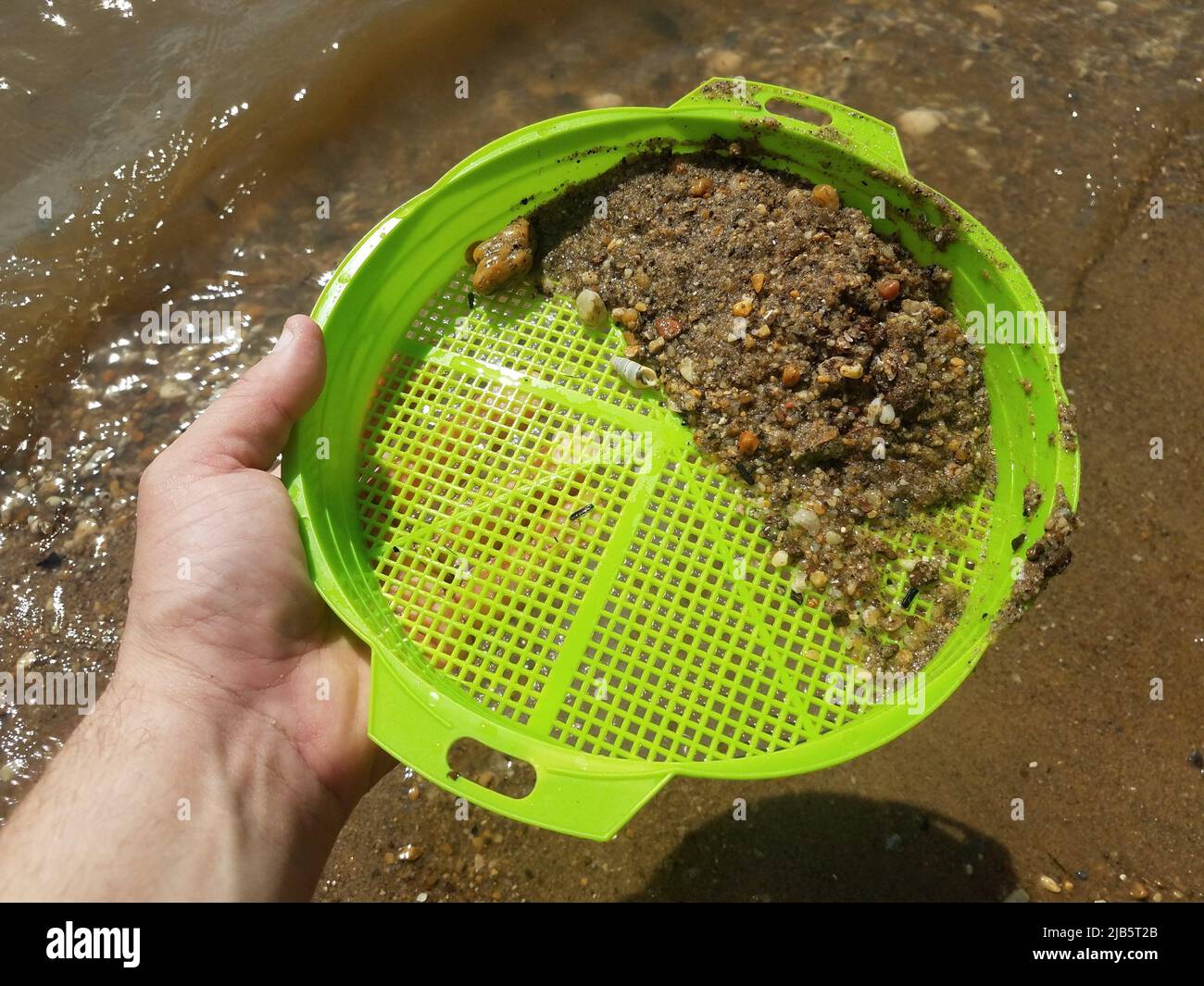 green plastic sieve or tray in sand picking up shells and rocks at