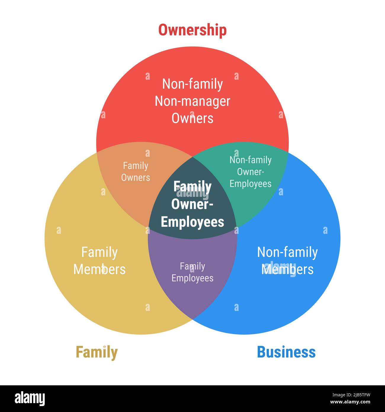 Family owner employees business venn diagram 3 overlapping circles infographic. Flat design yellow, red and blue multicolored vector illustration. Stock Vector