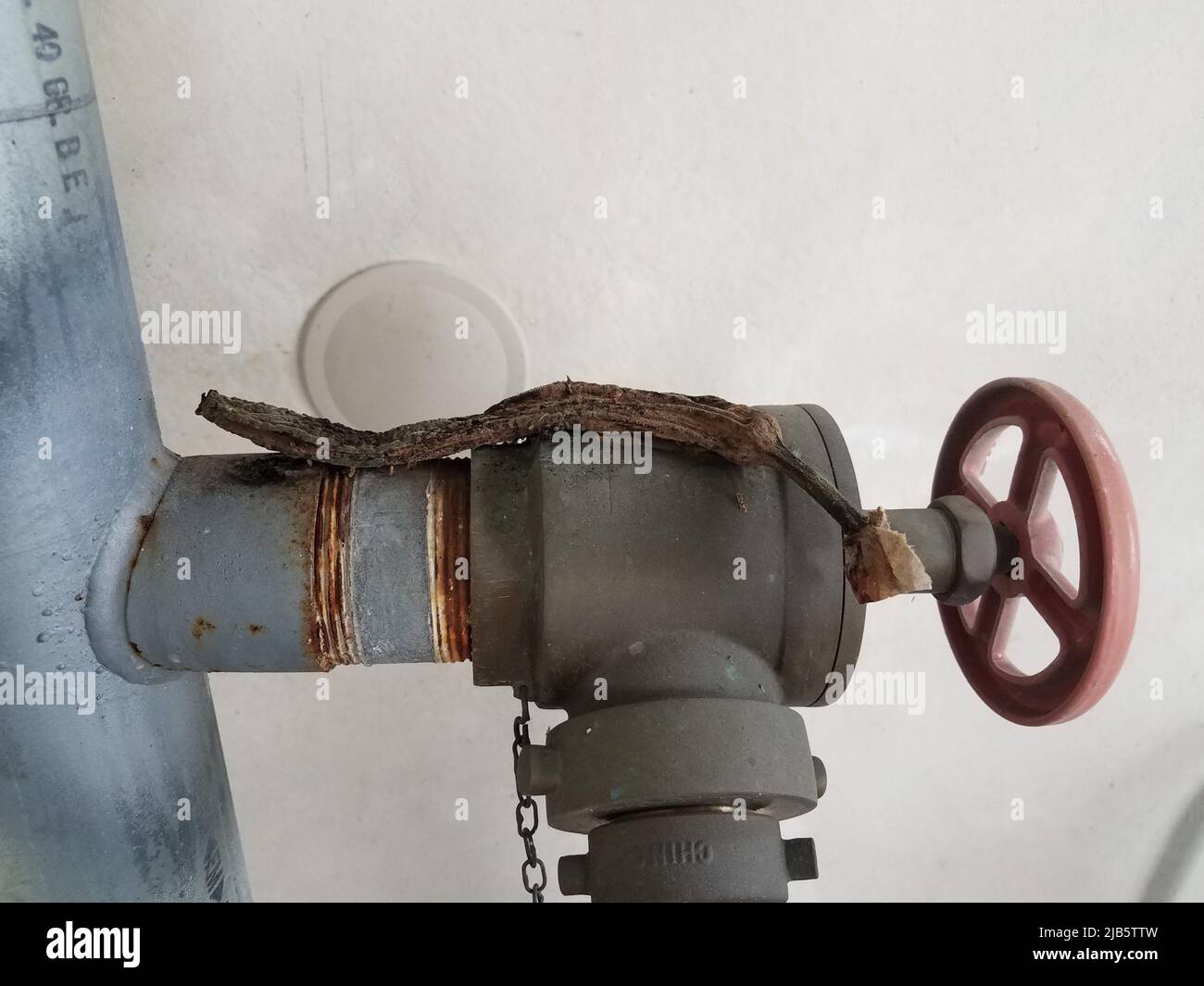 disgusting rotten or decaying dry banana peel on metal pipe. Stock Photo
