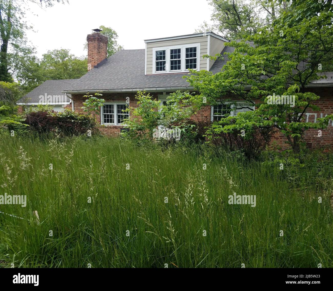 abandoned house or ruins with tall unkempt grass. Stock Photo