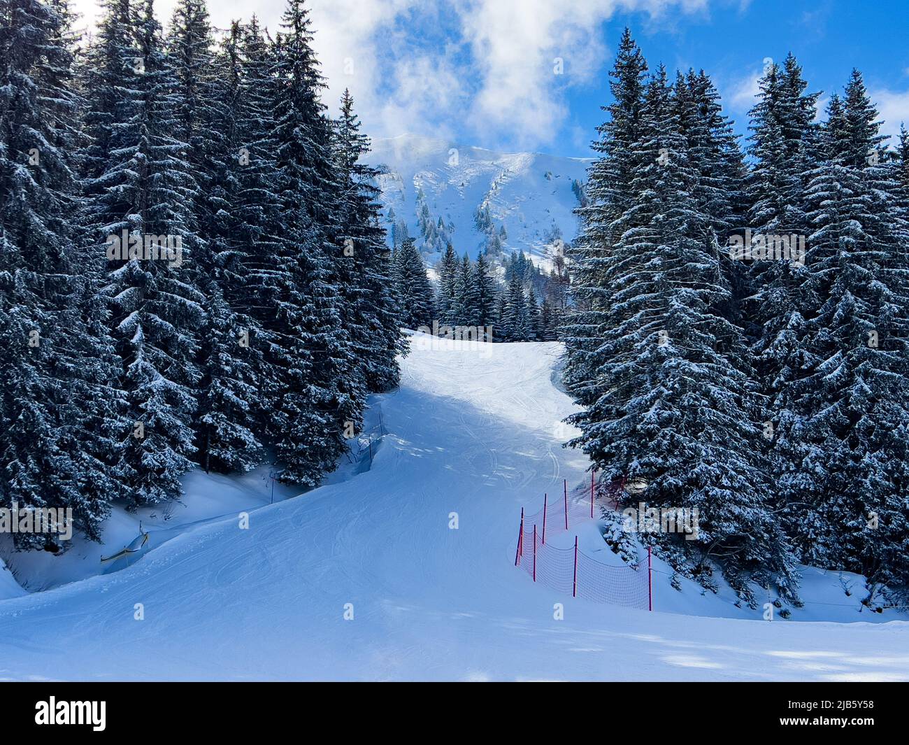 Ski track at alpine resort in fir tree forest covered with snow Stock Photo