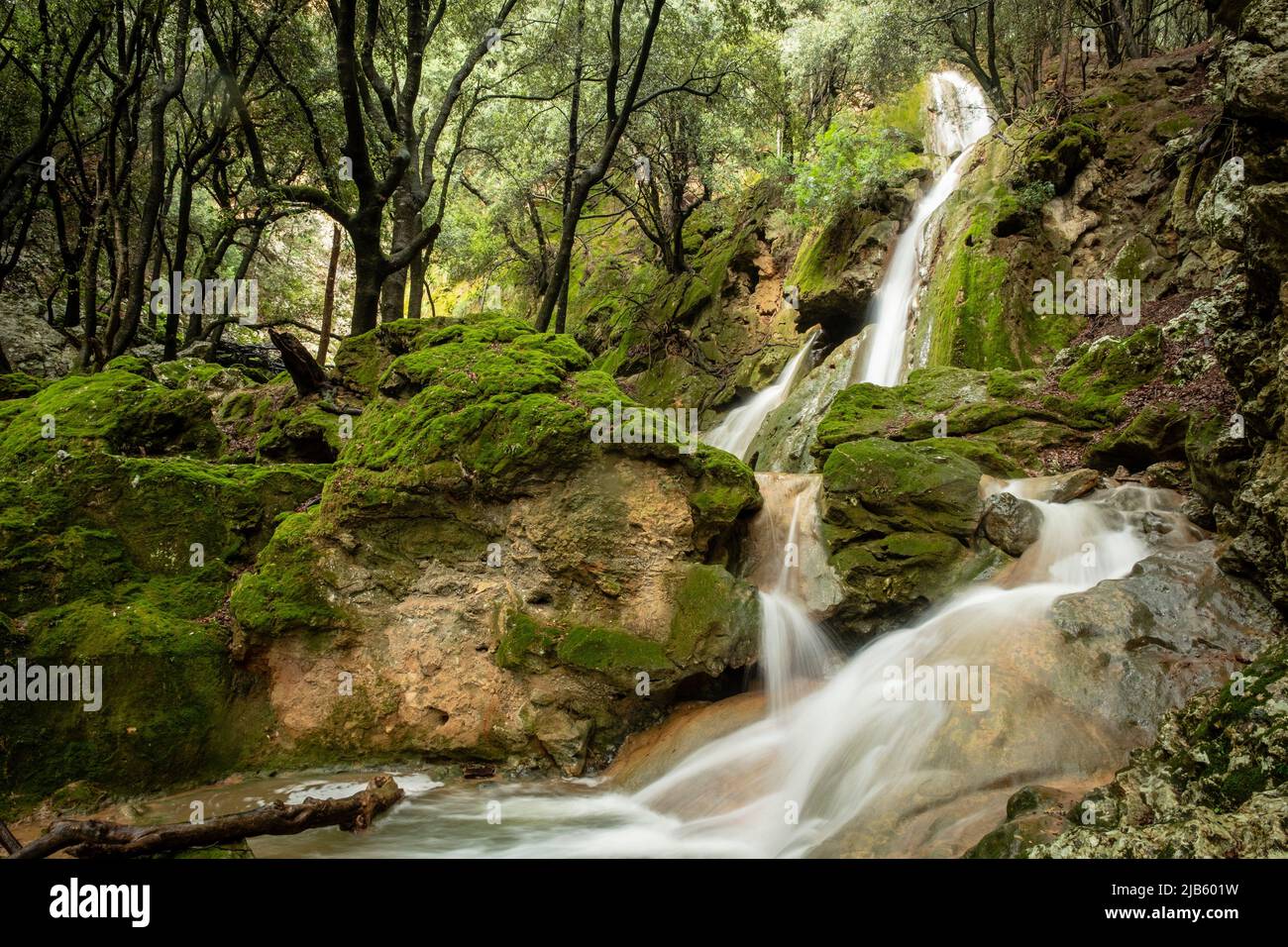 Salt des Freu waterfall, Torrent de Coanegra, Orient, Bunyola, Mallorca,  Balearic Islands, Spain Stock Photo - Alamy