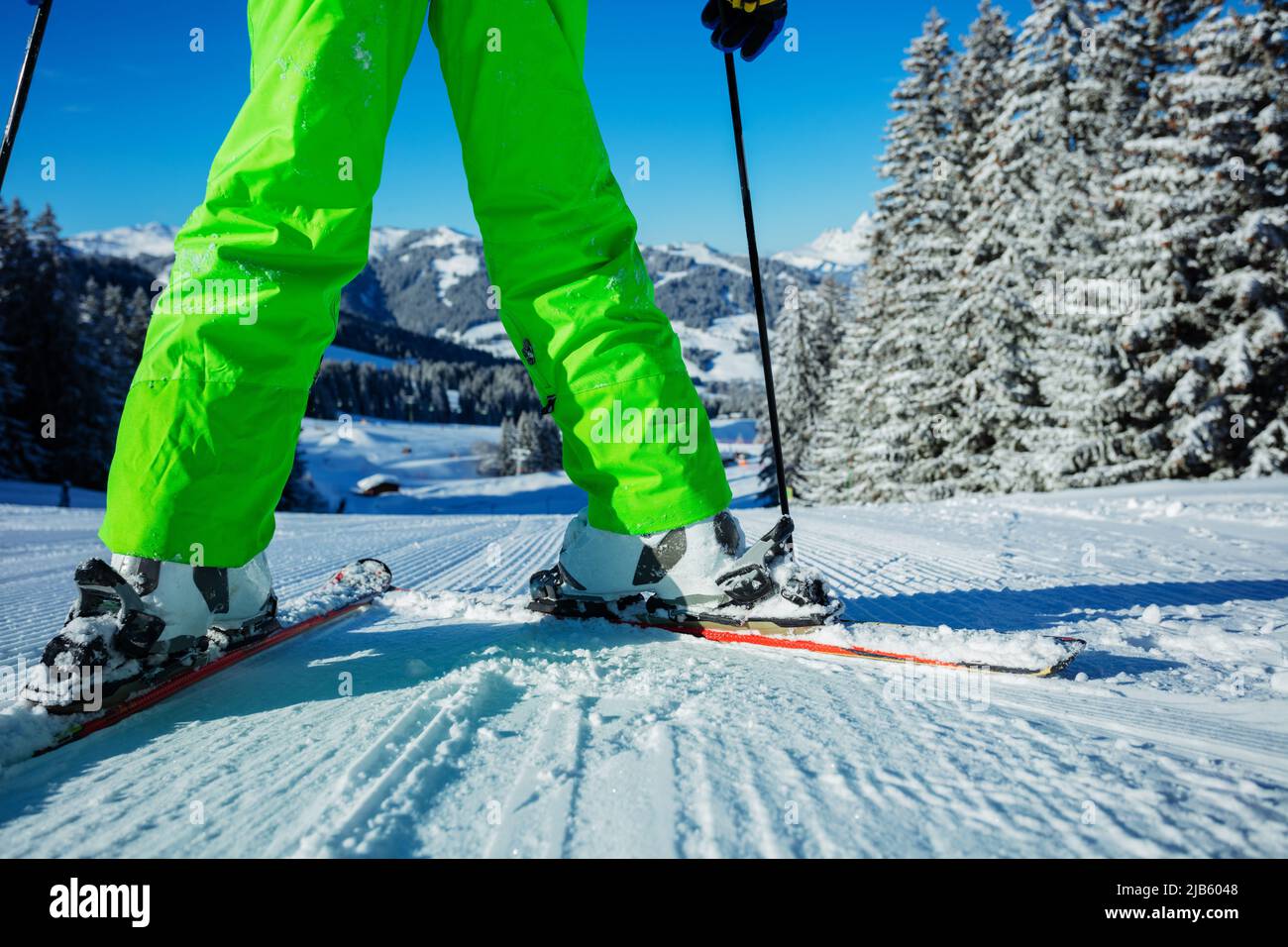 Close-up of skier legs on track over a forest after snowfall Stock Photo