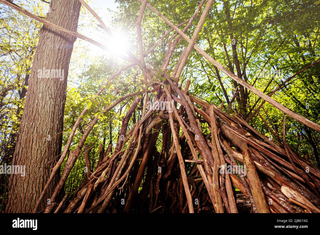 Hut of branches in the forest over sunlight above Stock Photo