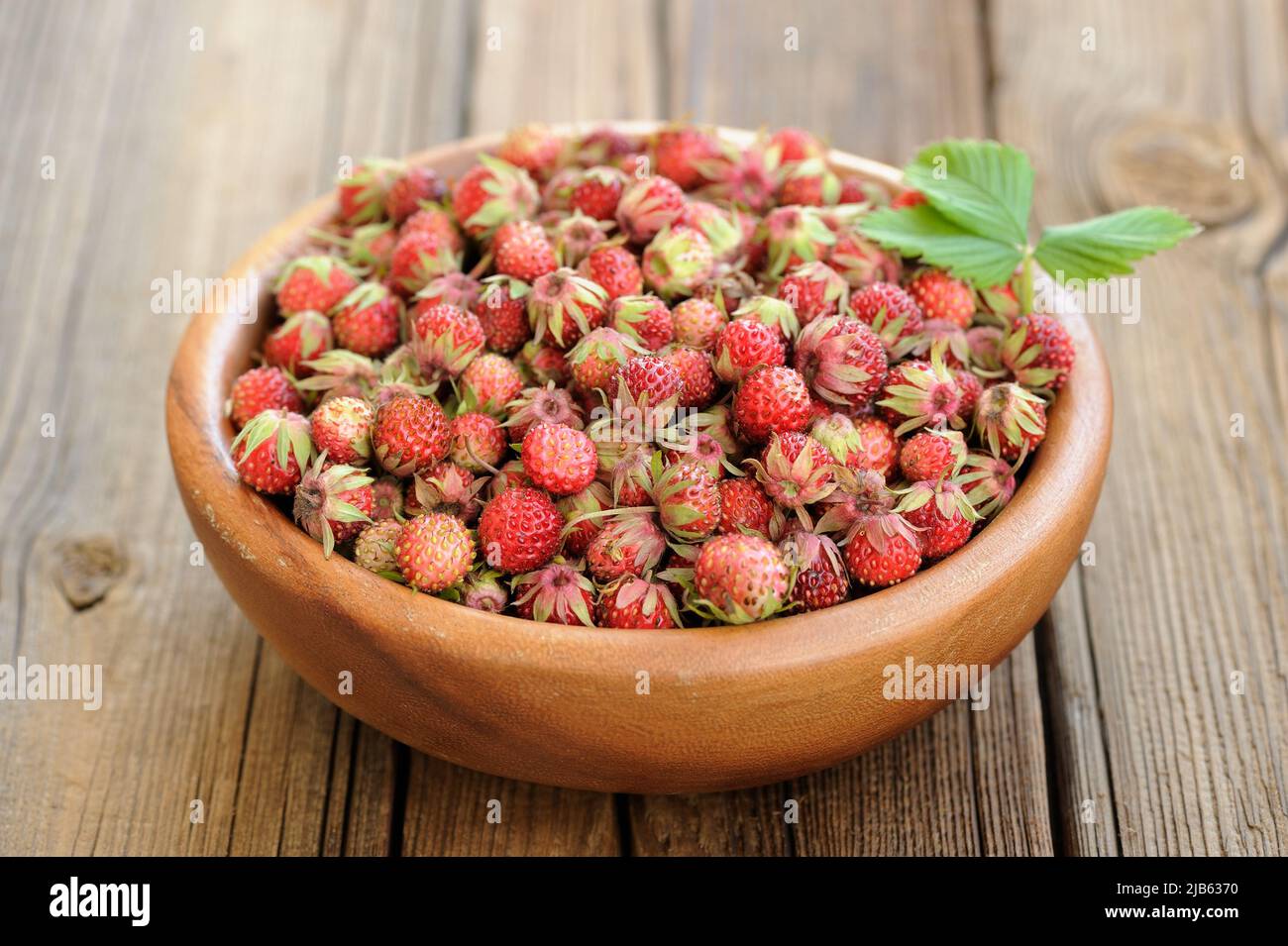 Wild strawberries Fragaria viridis with green leaf in wooden bowl horizontal Stock Photo