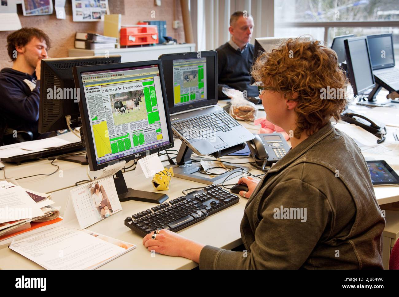 Netherlands, Doetinchem. Journalist  of newspaper 'Gelderlander' working at her desk. She writes articles and put them in the format LayOut of the new Stock Photo