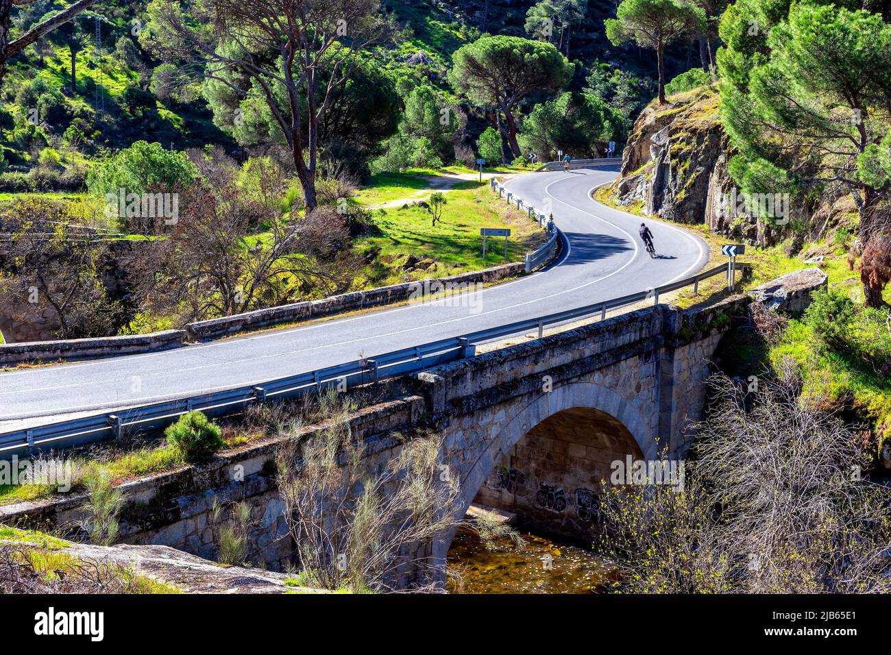 Ciclista en carretera con curvas entre pinos y puente sobre el rio Becedas. El Hoyo de Pinares. Ãvila. Stock Photo