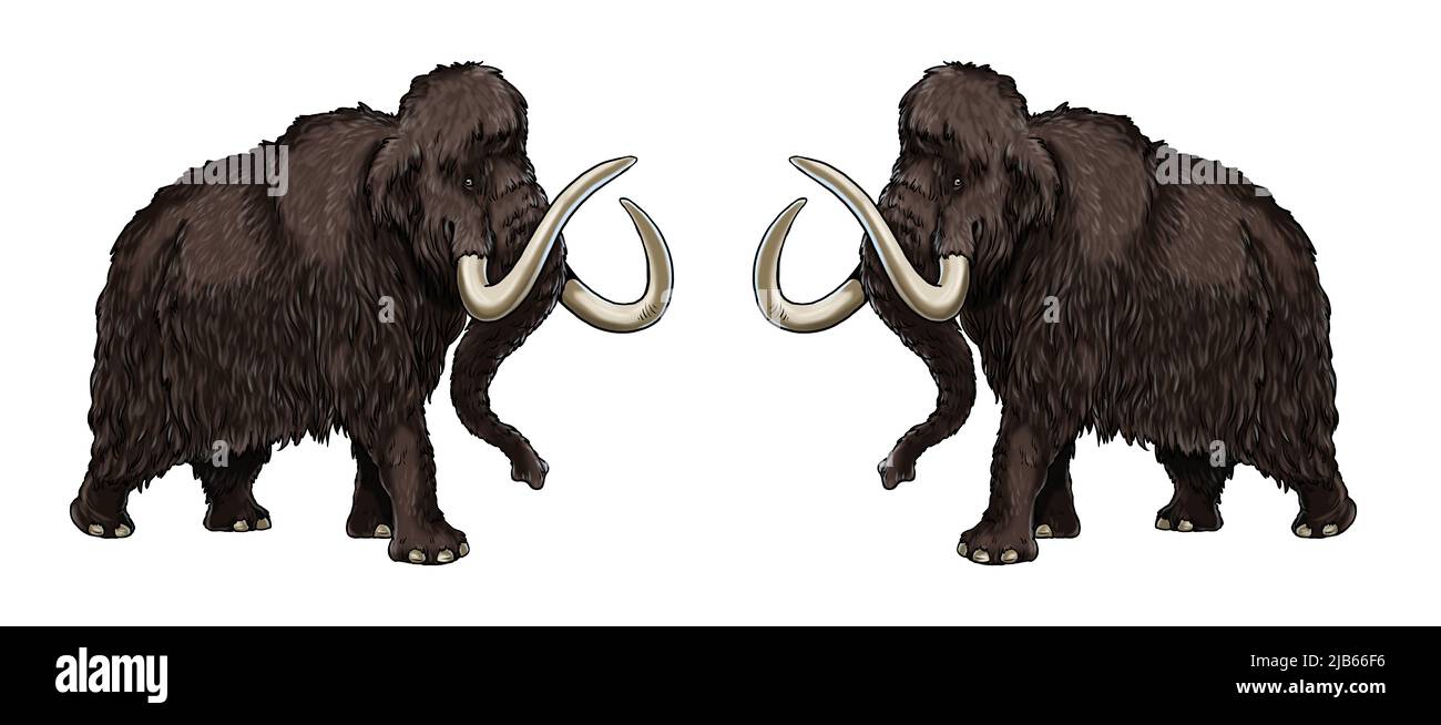Prehistoric animals. Illustration with extinct Elephant - mammoth. Stock Photo