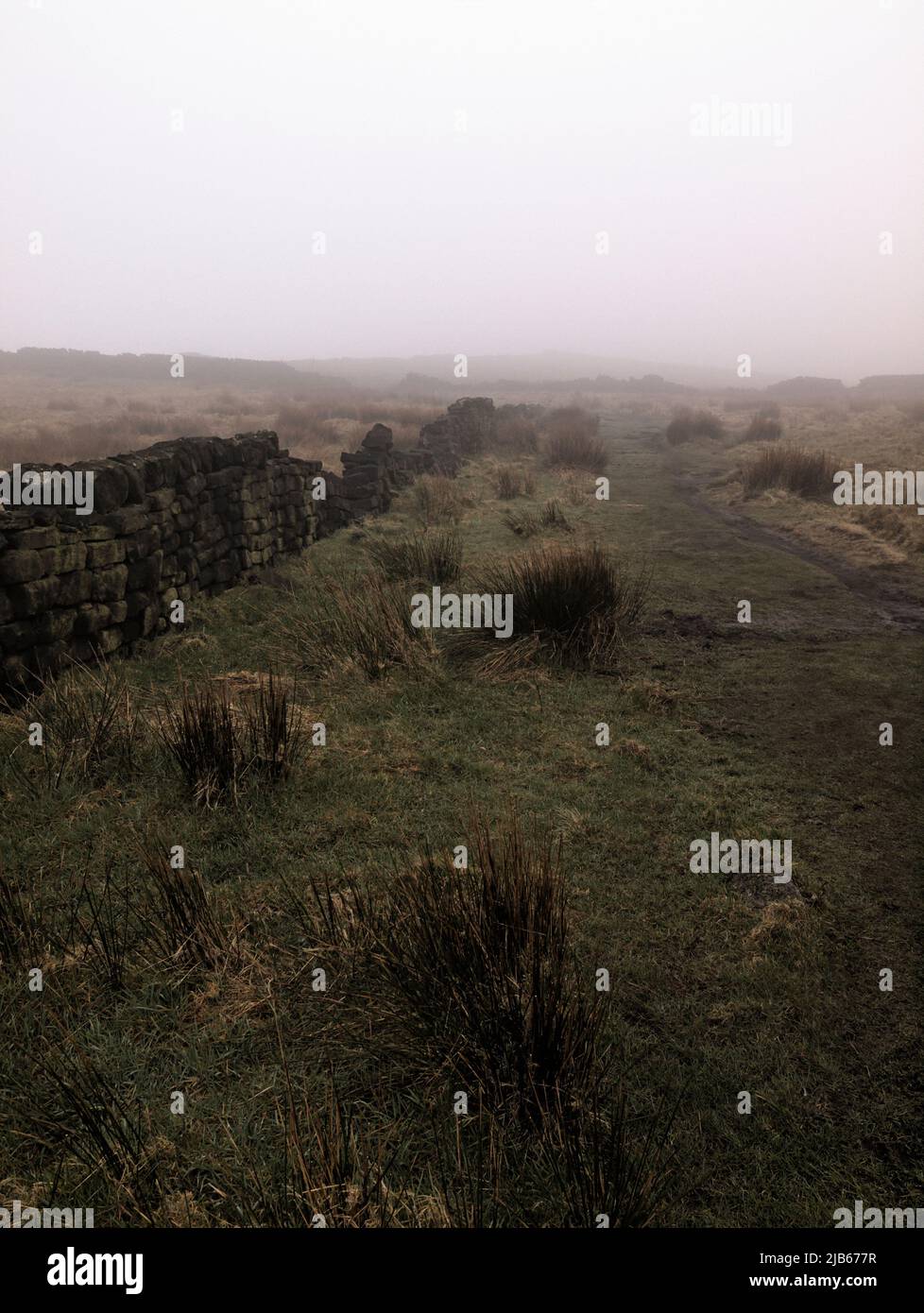 Dry stone wall in the fog along the Penine Way footpath at Standedge near Diggle. Stock Photo