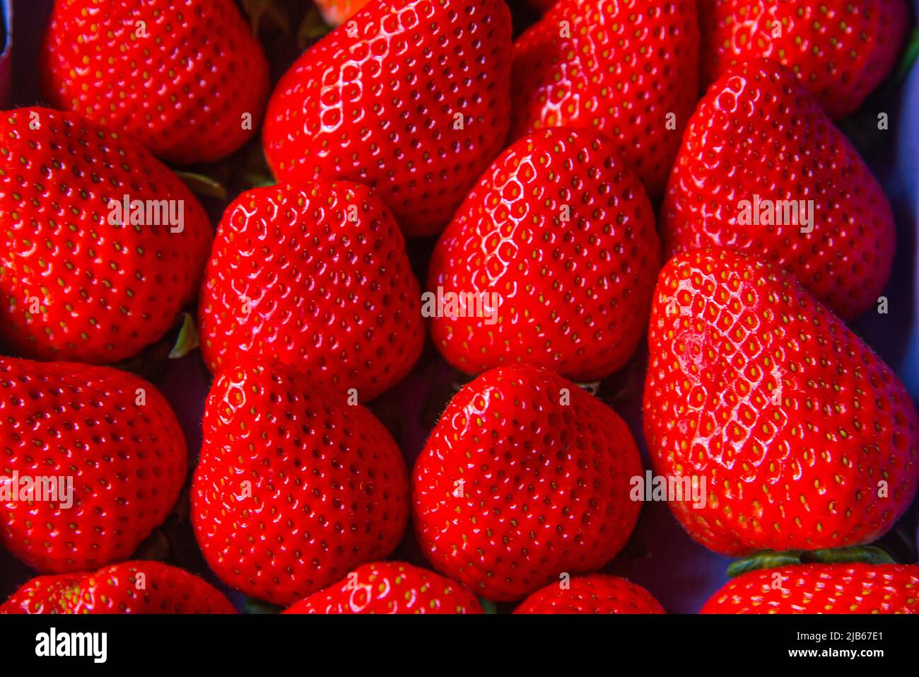 Strawberries. Stock Photo
