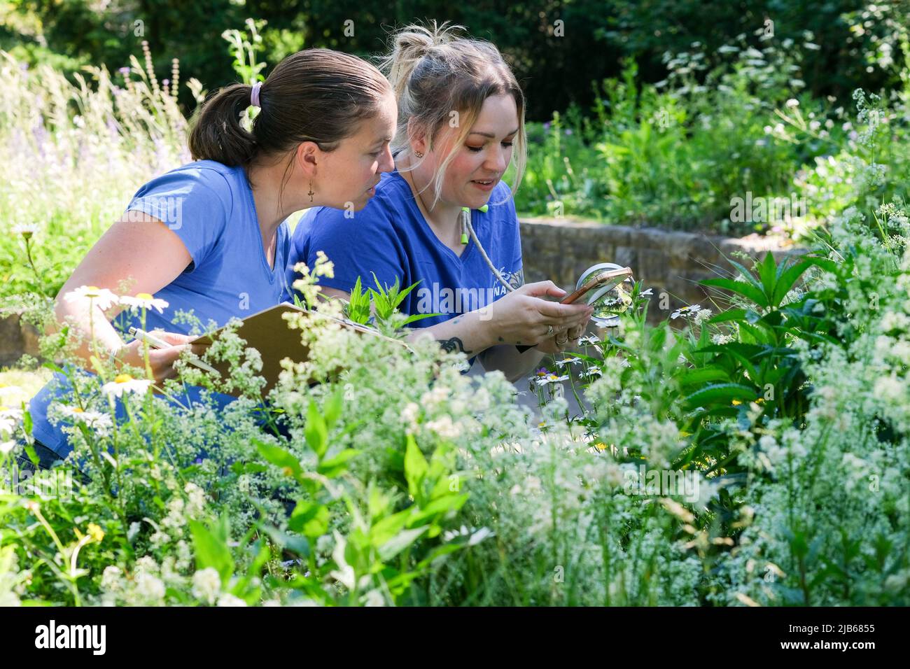 Berlin, Germany. 03rd June, 2022. Daniela Franzisi (l) and Lisa Timmermann help count insects at the NABU Insect Summer in the Duftgarten Friedrichshain. They count for up to an hour in gardens, parks, on balconies and meadows or in the forest to get to know nature better in their own environment. The observations can also be entered online in an app. Credit: Jens Kalaene/dpa/ZB/dpa/Alamy Live News Stock Photo