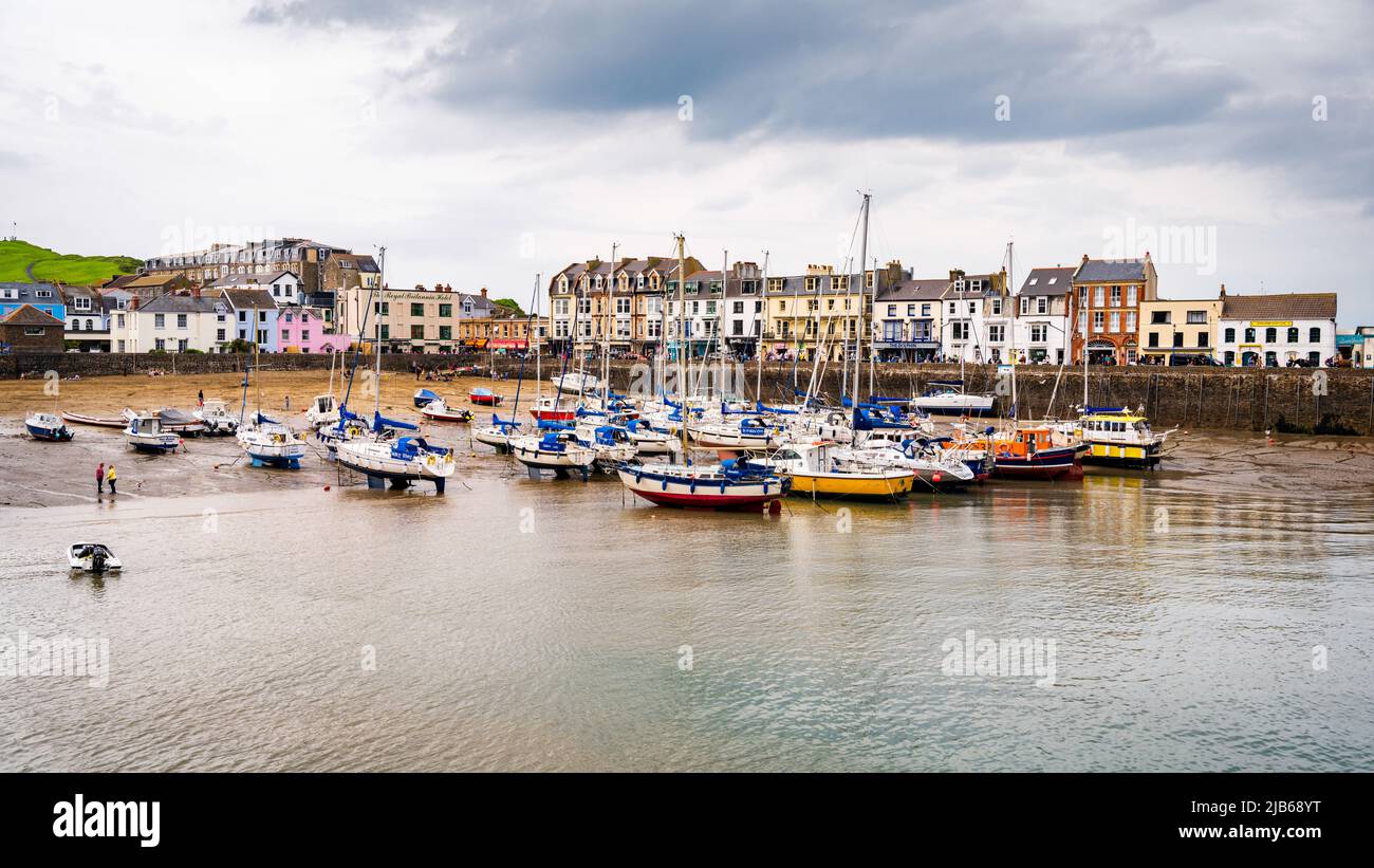 The harbour at the seaside resort town of Ilfracombe, Devon, UK. Stock Photo