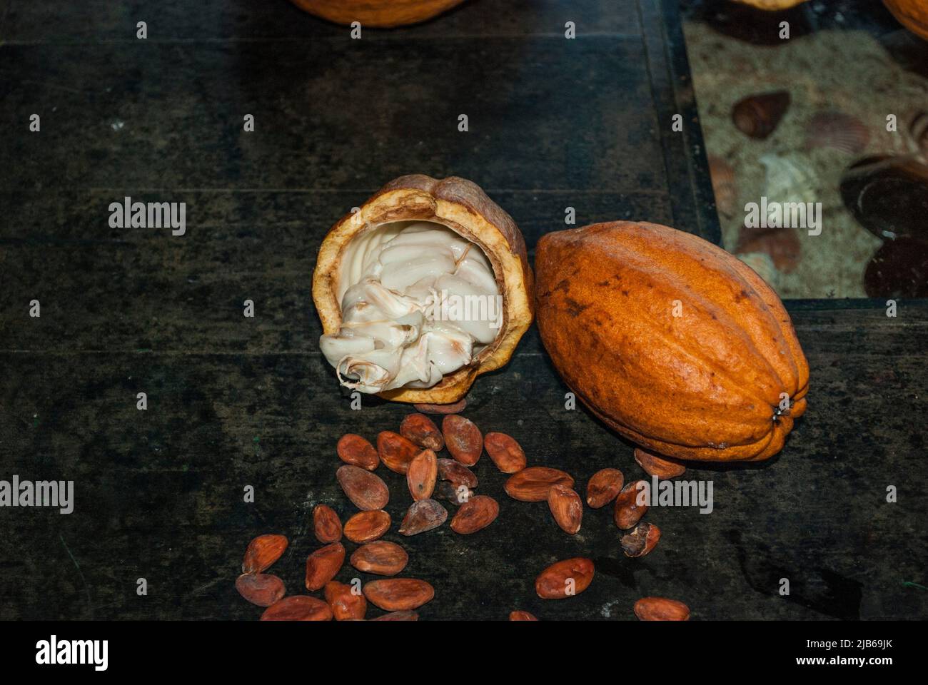 Cocoa beans (Theobroma cacao) display, Nosy Be, Madagascar Stock Photo