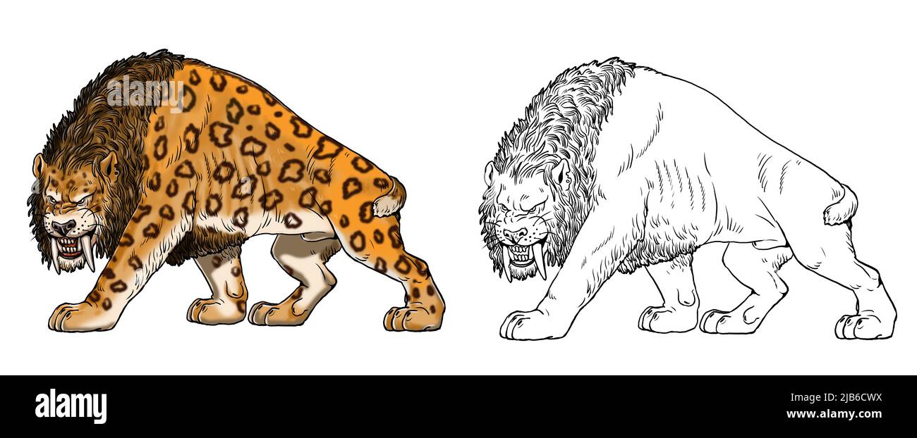 Saber tooth cat on the hunt. Animals drawing. Saber-toothed cat attack. Smilodon from ice age. Stock Photo