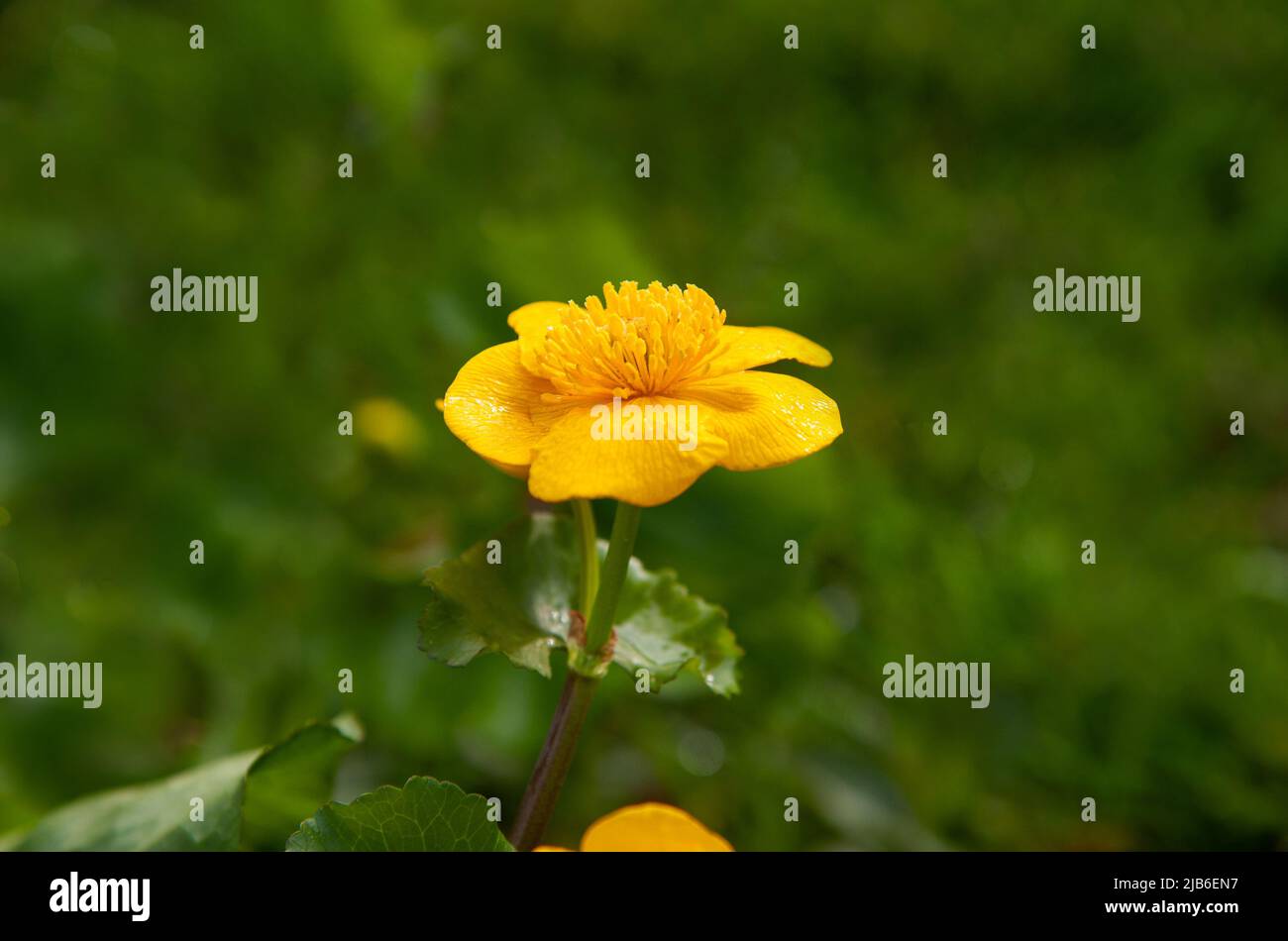 When its time jenny hires stock photography and images Alamy
