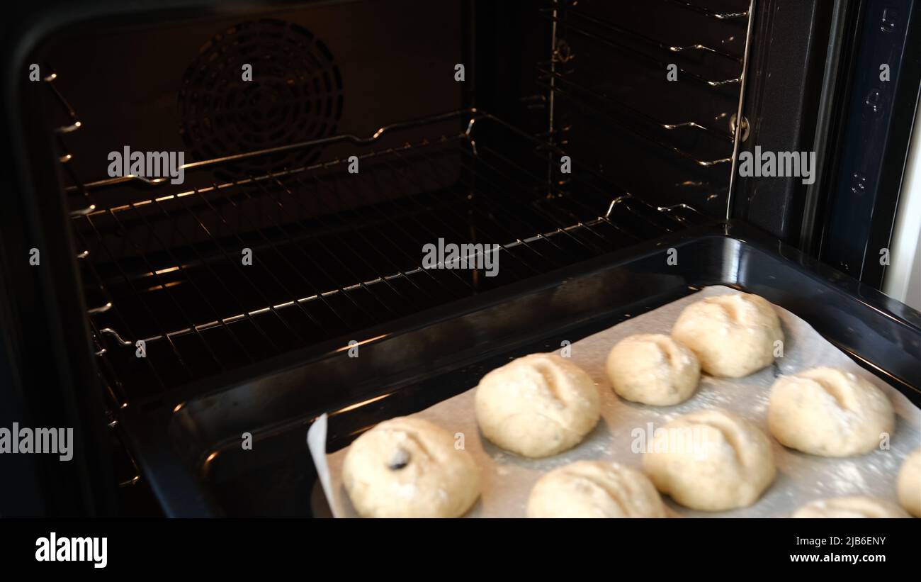 Pan of whole wheat buns rising in warm oven before baking Stock Photo