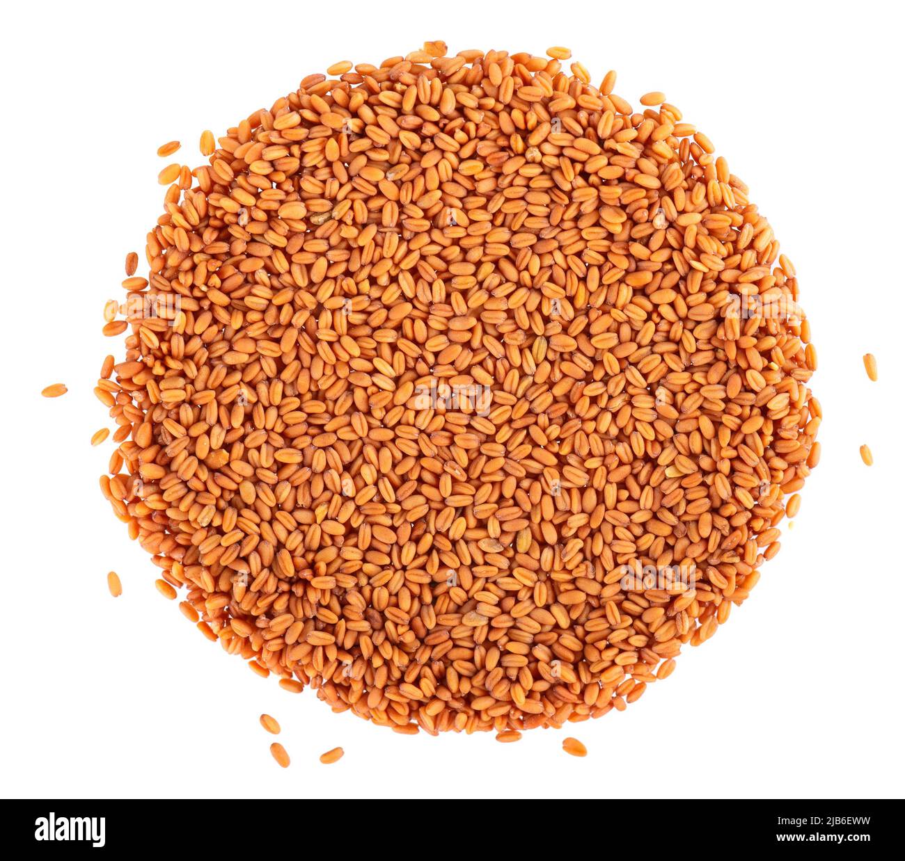 Camelina sativa seeds isolated on white background. Seeds of camelina or false flax. Raw material for the production of camelina oil. Top view Stock Photo