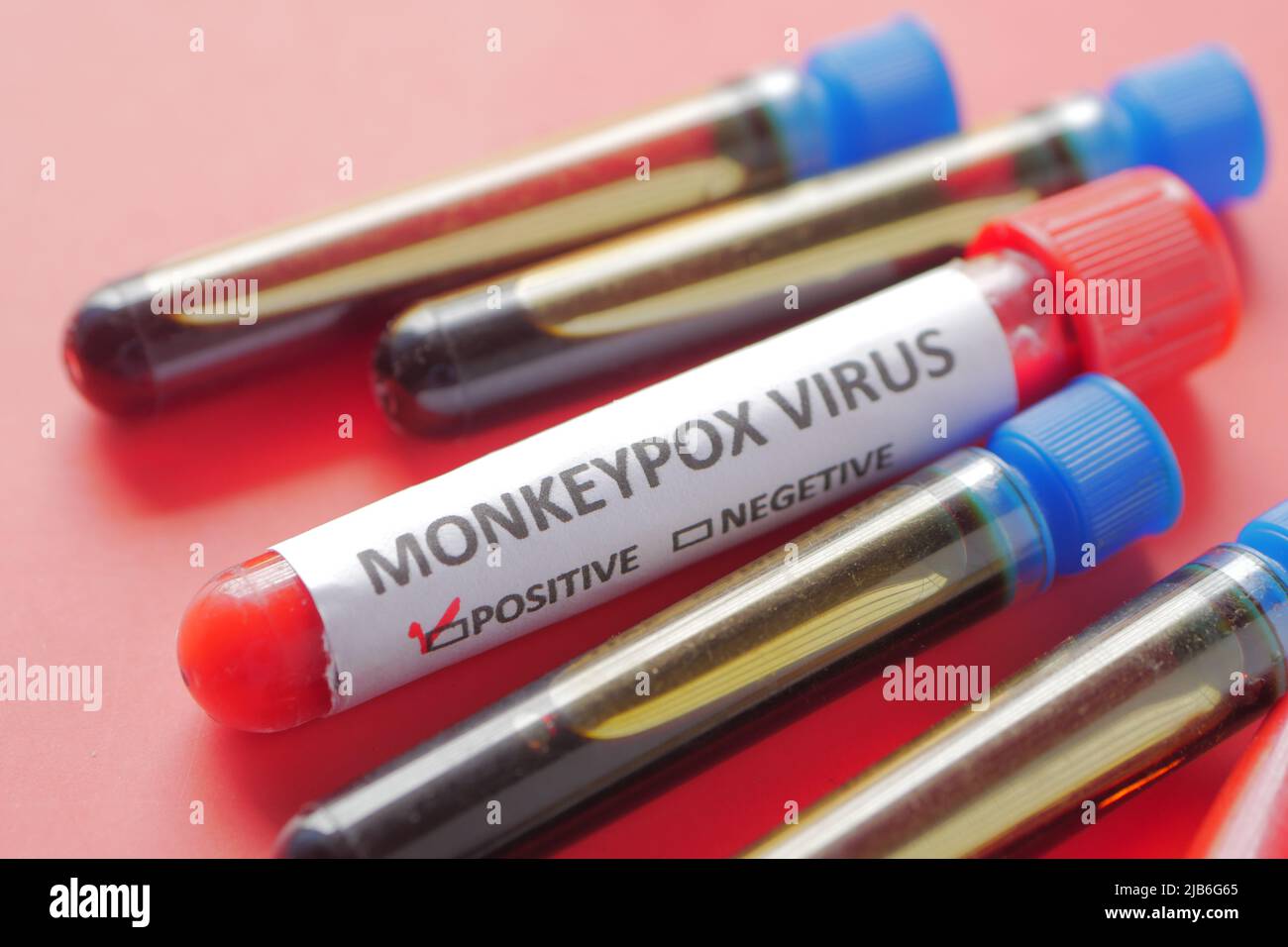 monkeypox text on blood text tube on red background Stock Photo - Alamy