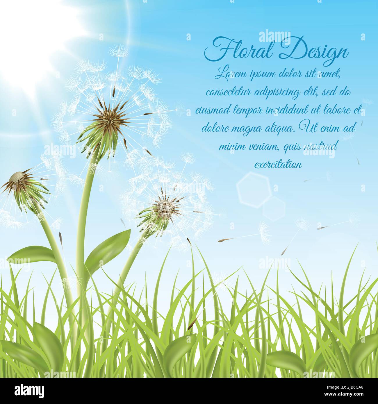 White dandelions on green grass with summer sun background vector ...