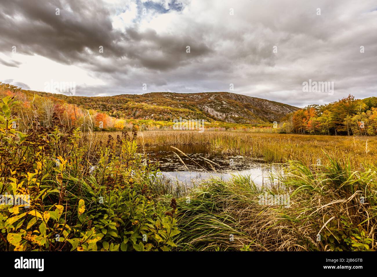 Fall in the Acadia National Park with colorful fall foliage and dramatic clouds Stock Photo Alamy