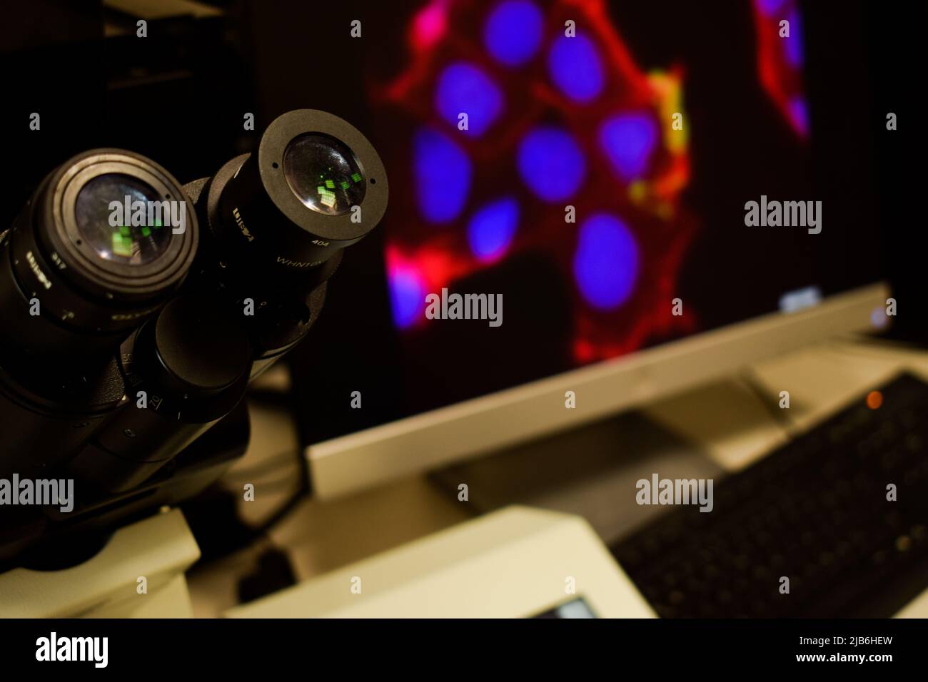 A microscope with a colorful cell image on the background Stock Photo ...