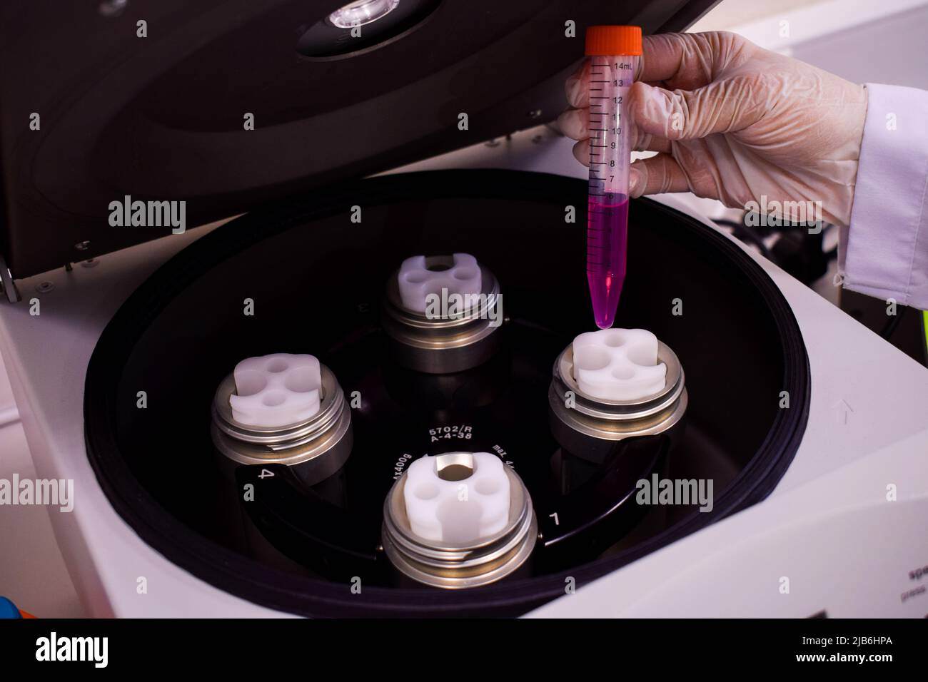 Centrifuge of purple container filled with cell Stock Photo Alamy