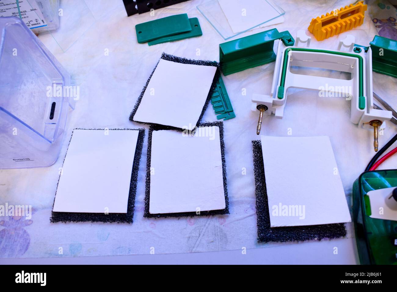 Western blot equipment on cell tissue laboratory Stock Photo Alamy