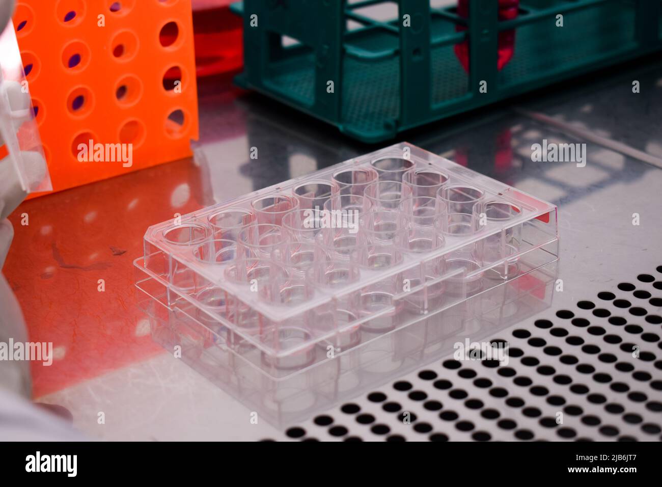Cell culture plates inside of a cell tissue hepa filtered cabin Stock